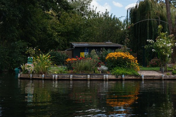 Comment bien entretenir ses ustensiles de cuisine ?